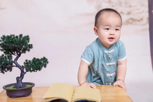 淇县可爱的企鹅宝宝